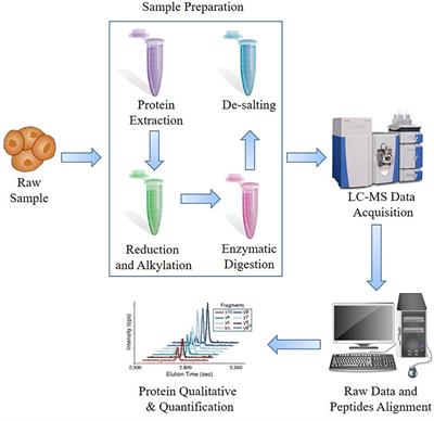 Putting Proteomics Into Immunotherapy for Glioblastoma